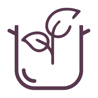 NATURAL CHIC COLLECTION